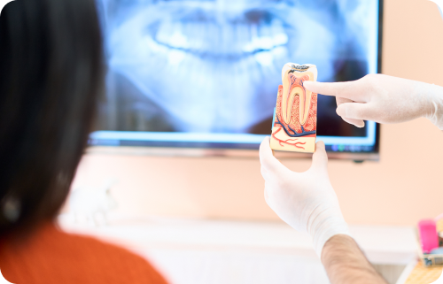 ご納得いかれるまでご相談に応じます